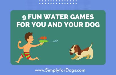 9 Fun Water Games for You and Your Dog