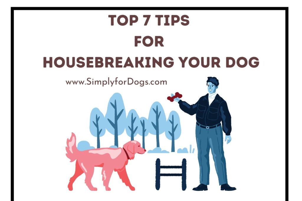 Top 7 Tips for Housebreaking Your Dog (Effective Ones) Simply For Dogs