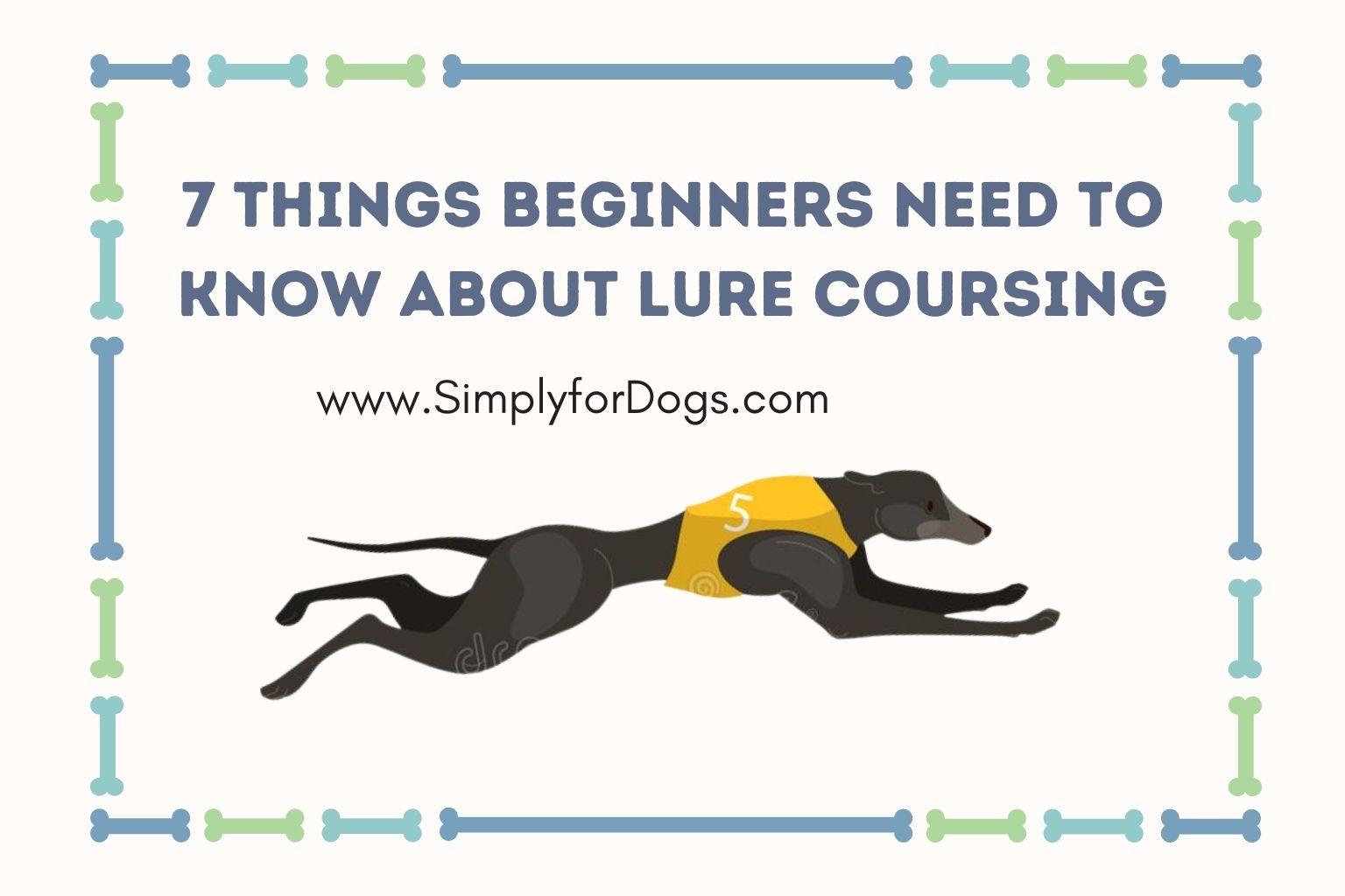 7 Things Beginners Need to Know About Lure Coursing (Pros & Cons) - Simply  For Dogs