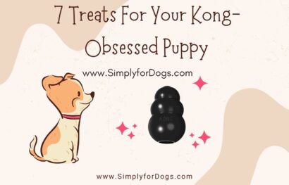 7 Treats For Your Kong-Obsessed Puppy