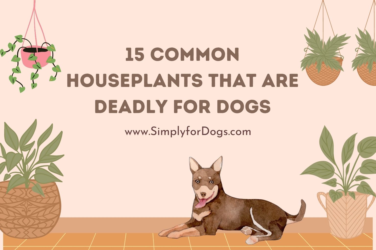 15 Common Houseplants That Are Deadly for Dogs