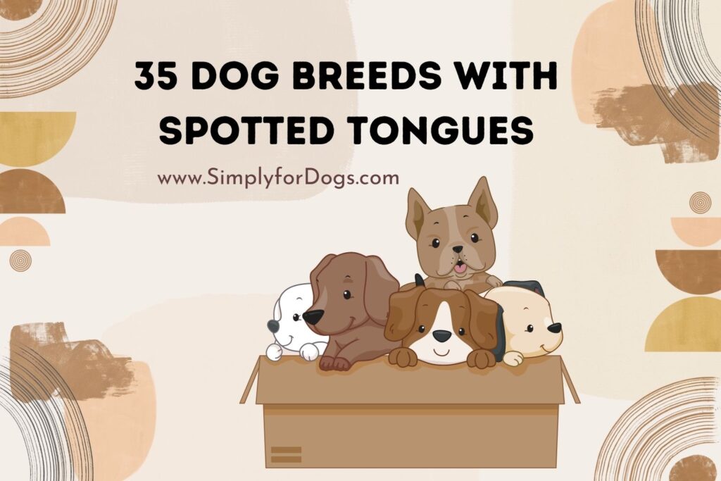 35 Dog Breeds with Spotted Tongues (Detailed Information) - Simply For Dogs