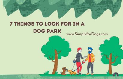 7 Things to Look for in a Dog Park