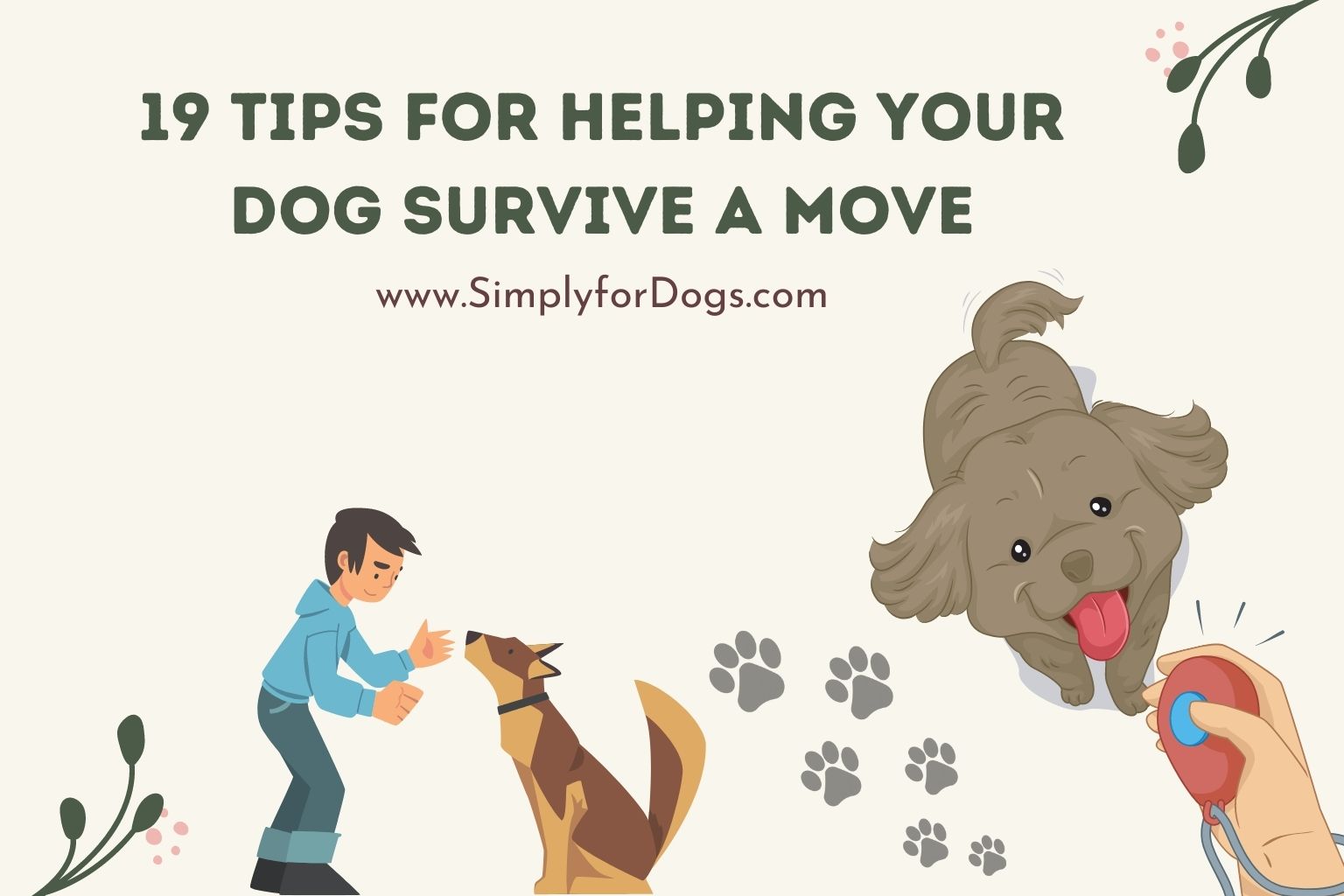 19 Tips for Helping Your Dog Survive a Move