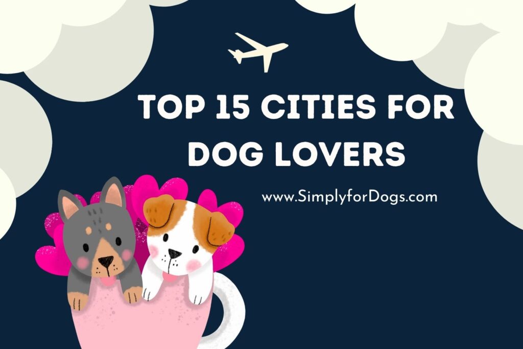 Top 15 Cities for Dog Lovers (Make A List) Simply For Dogs