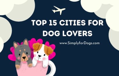 Top 15 Cities for Dog Lovers