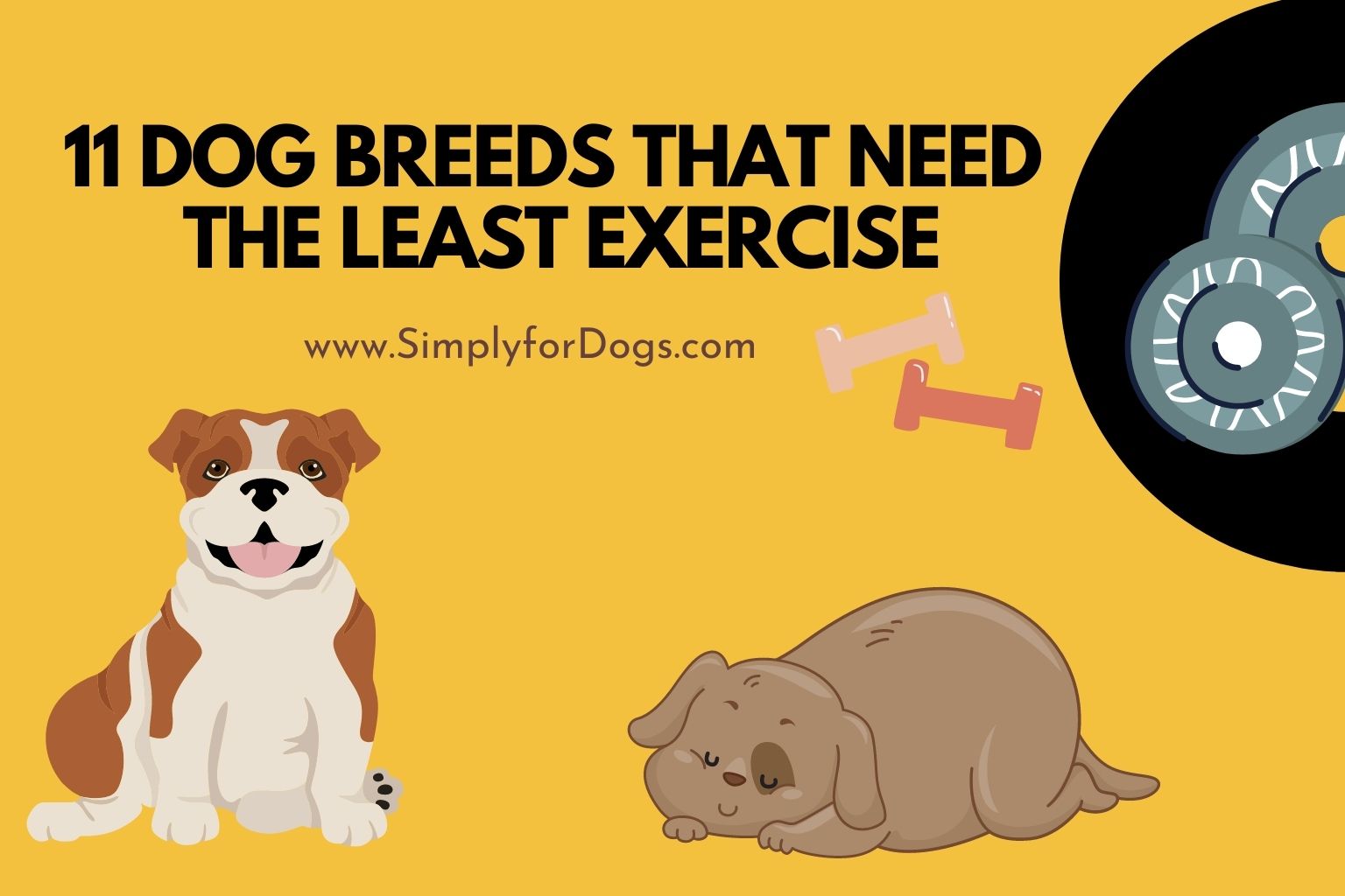 which dog needs the least exercise