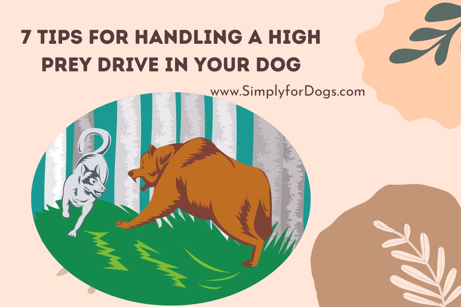 7 Tips for Handling a High Prey Drive in Your Dog