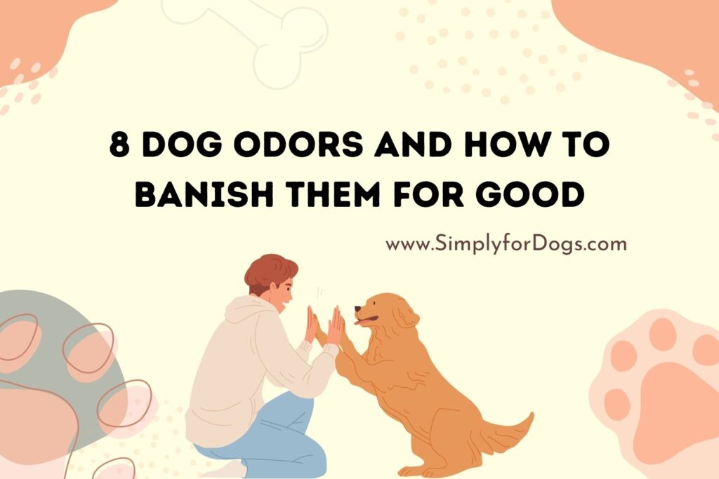 Dog Odors And How To Banish Them For Good (Easy Steps) - Simply For Dogs