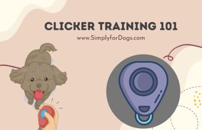 Clicker Training 101