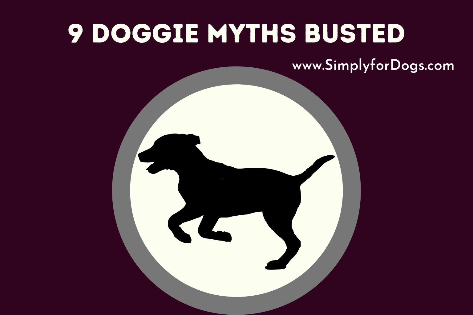 9 Doggie Myths Busted