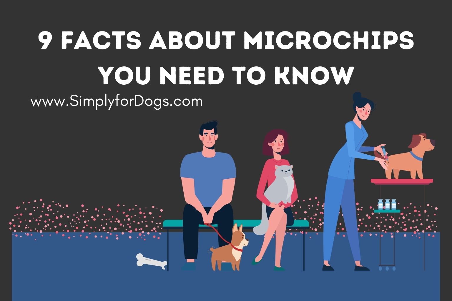 9 Facts About Microchips You Need to Know