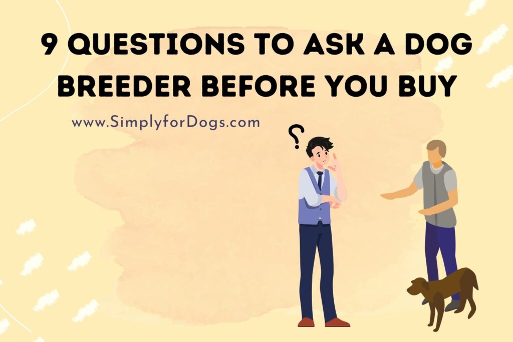 Questions To Ask A Dog Breeder Before You Buy (Effective Ones) Simply