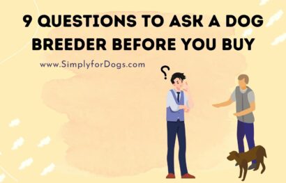 9 Questions to Ask a Dog Breeder Before You Buy