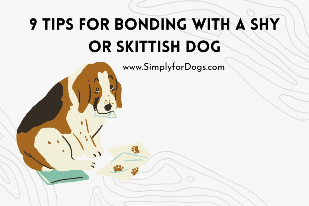 Tips For Bonding With A Shy Or Skeptish Dog (Bonding Tips) Simply For