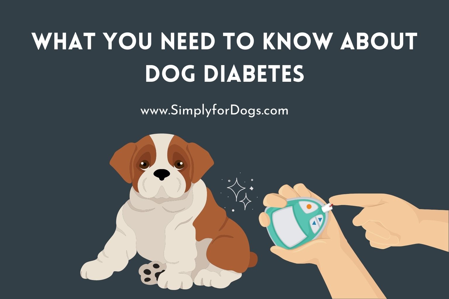 What You Need to Know About Dog Diabetes