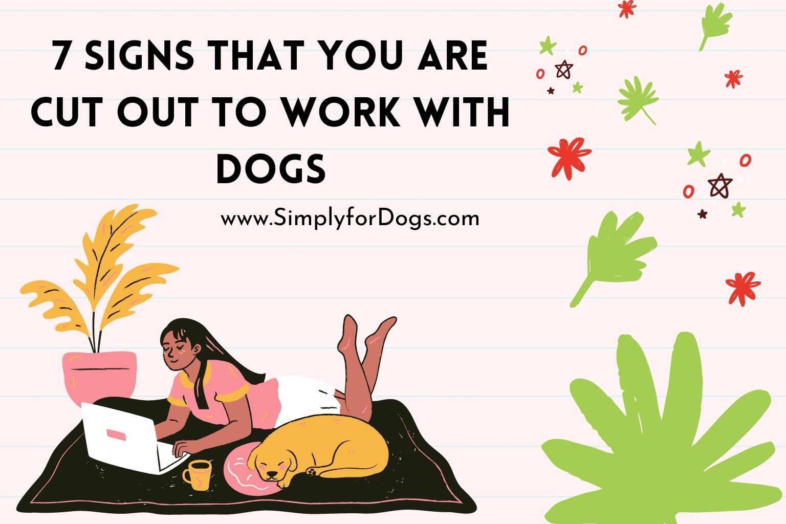 7 Signs That You Are Cut Out to Work with Dogs