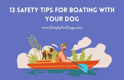 13 Safety Tips for Boating with Your Dog