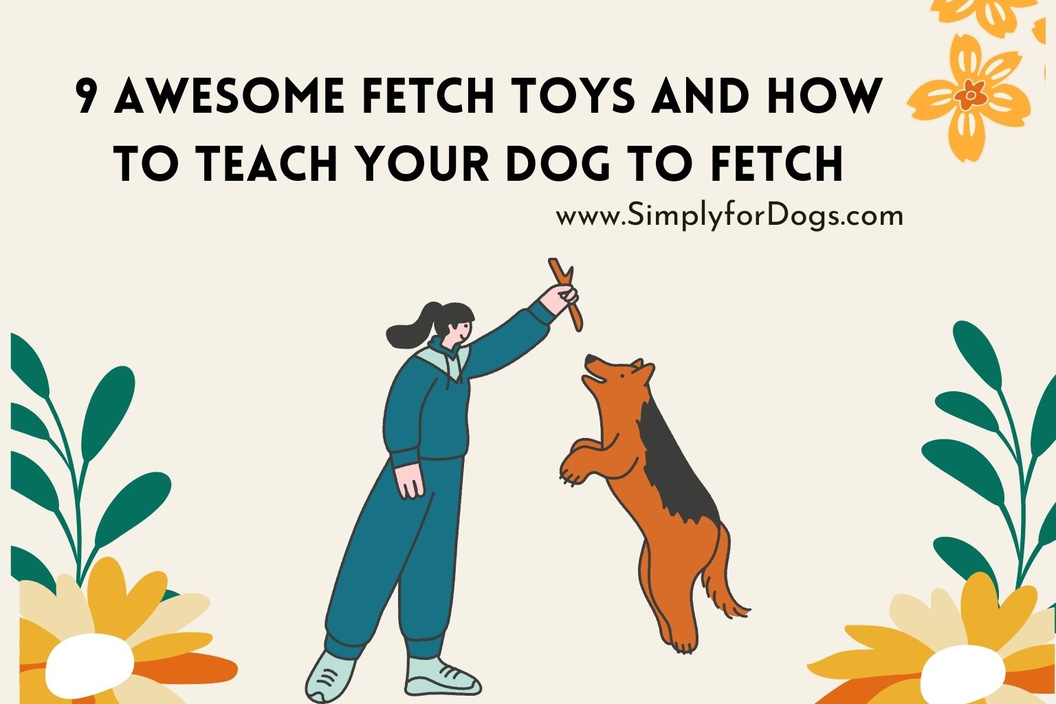 9 Awesome Fetch Toys and How to Teach Your Dog to Fetch