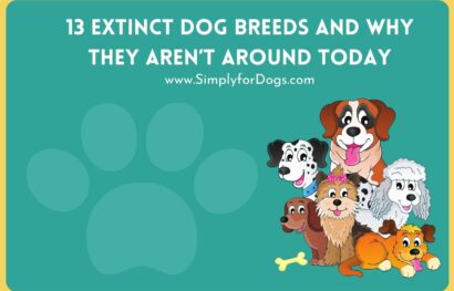 13 Extinct Dog Breeds and Why They Aren’t Around Today