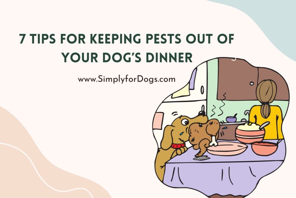 7-tips-for-keeping-pests-out-of-your-dog-s-dinner-safety-tips