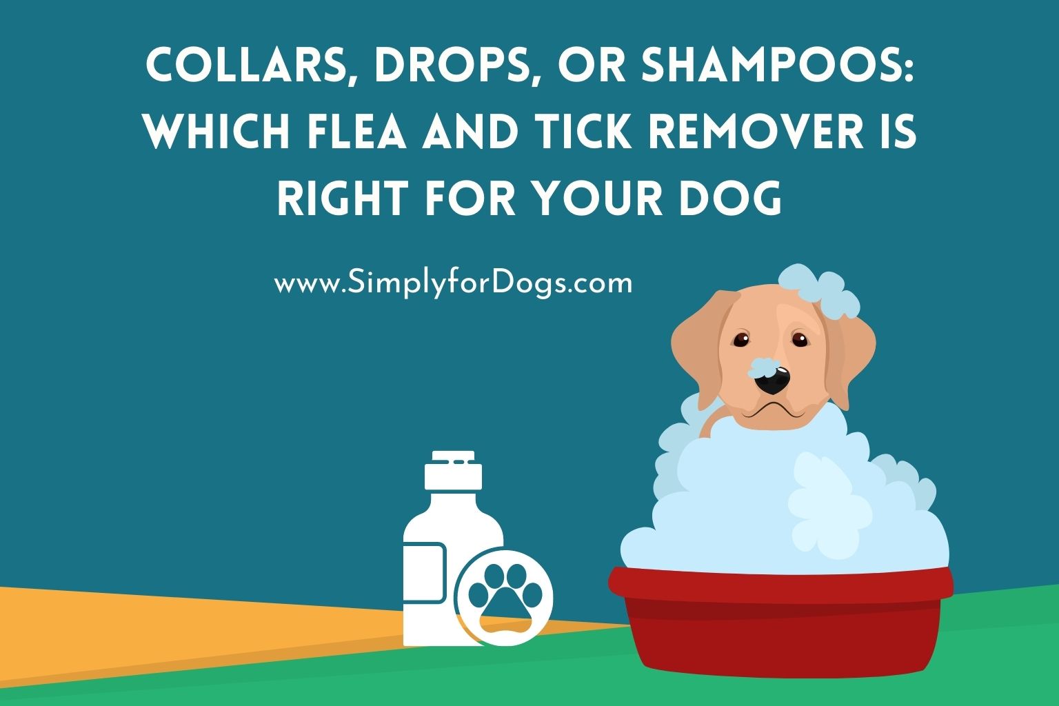 Collars, Drops, or Shampoos_ Which Flea and Tick Remover is Right for Your Dog