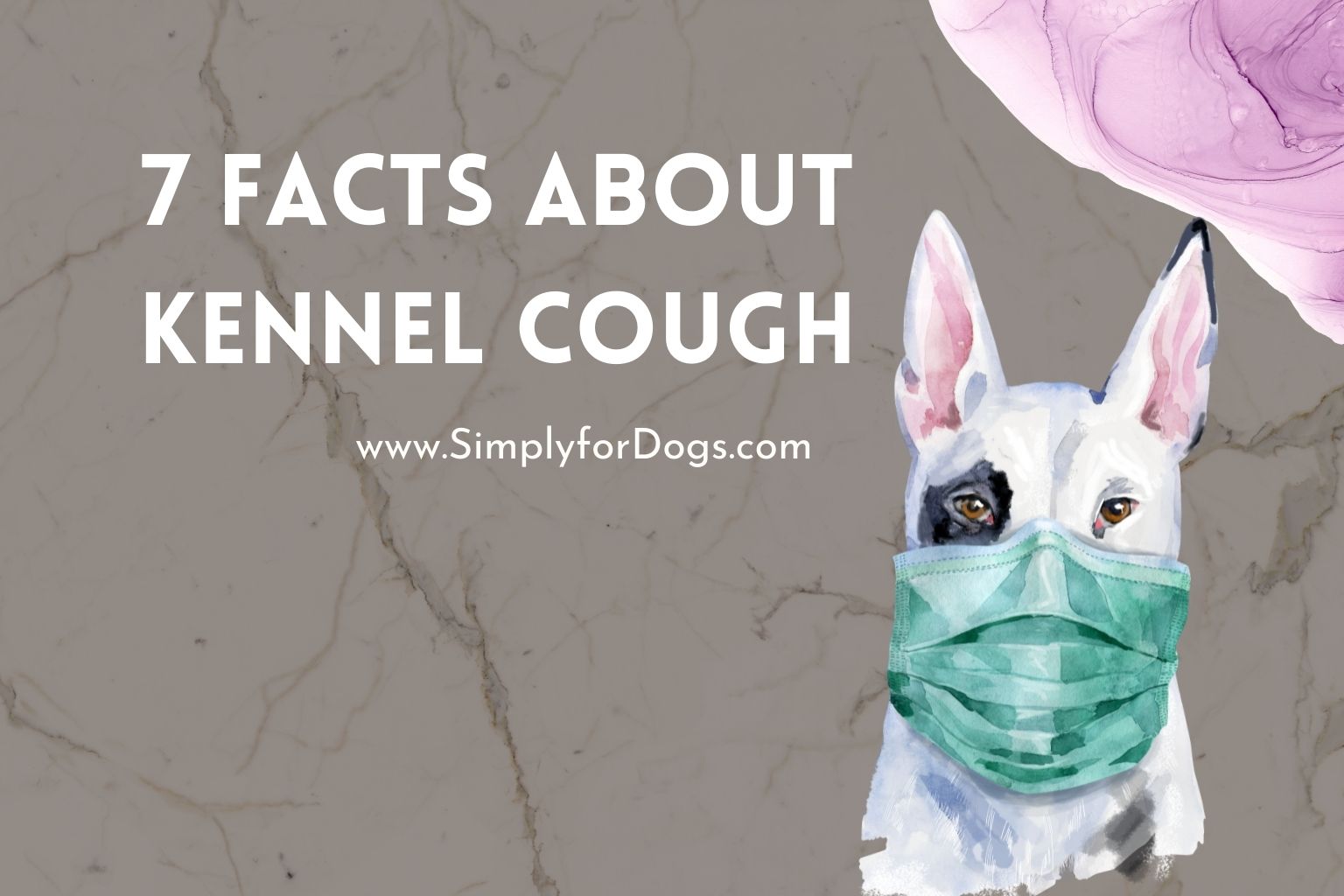 7 Facts About Kennel Cough (Reasons & Remedies) Simply For Dogs