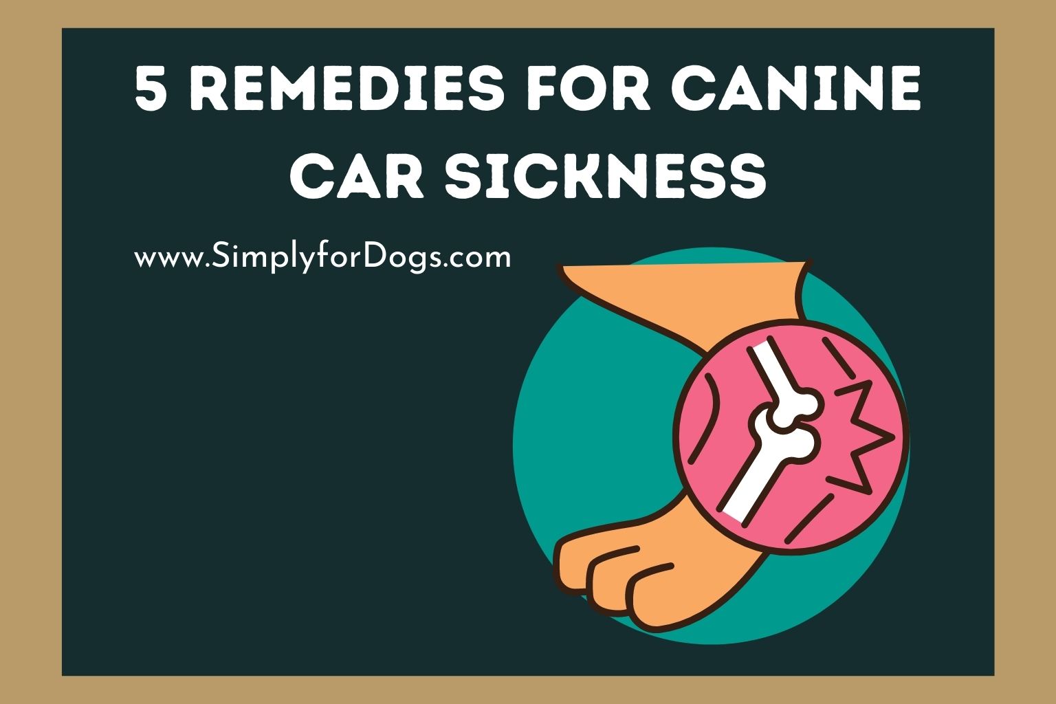 5 Remedies for Canine Car Sickness