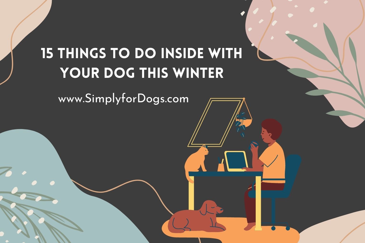 15 Things to Do Inside with Your Dog This Winter