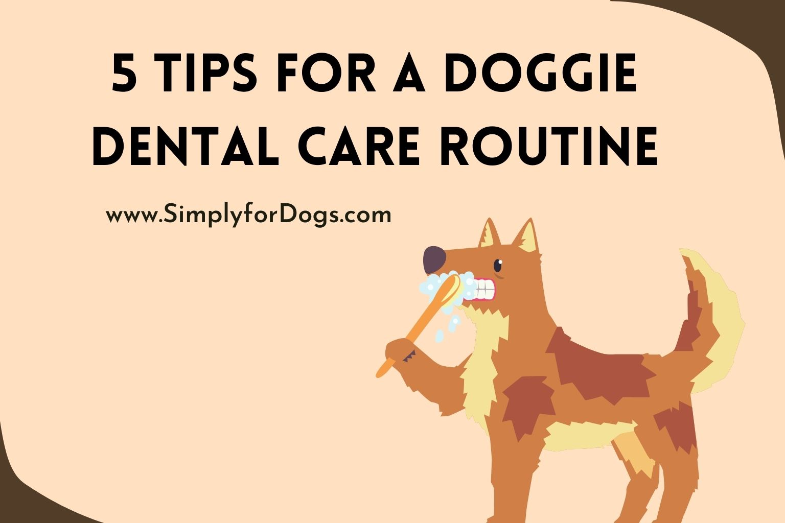 5 Tips for a Doggie Dental Care Routine