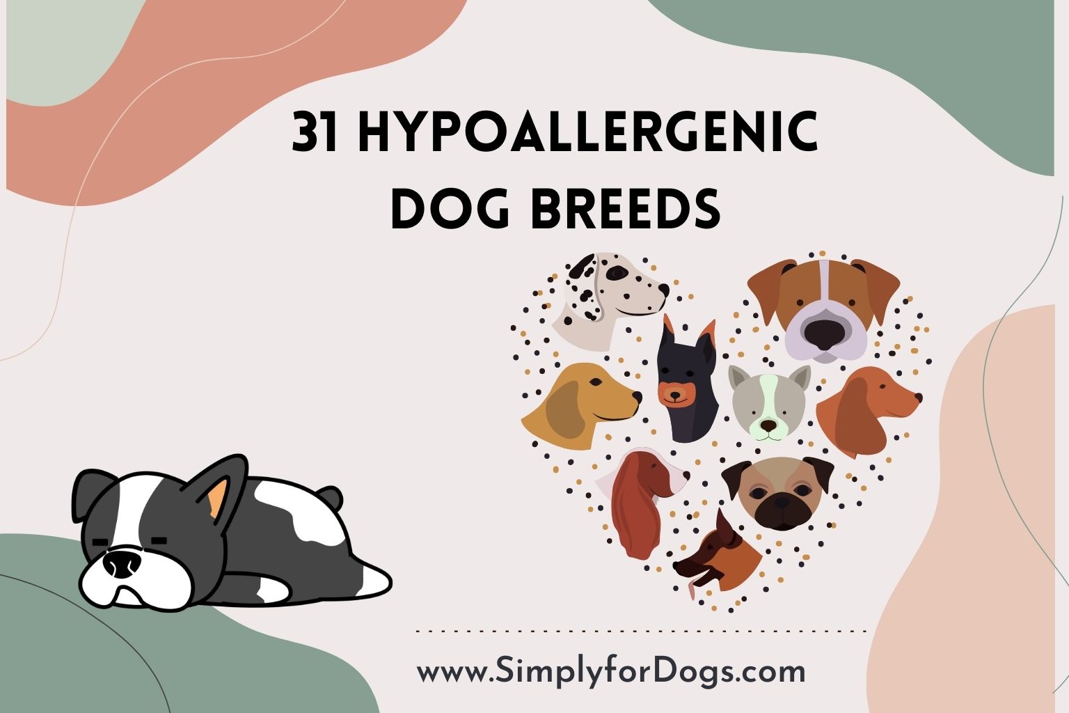 31 Hypoallergenic Dog Breeds