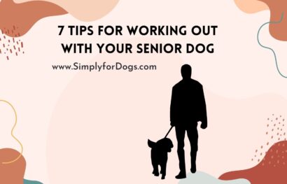 7 Tips for Working Out with Your Senior Dog