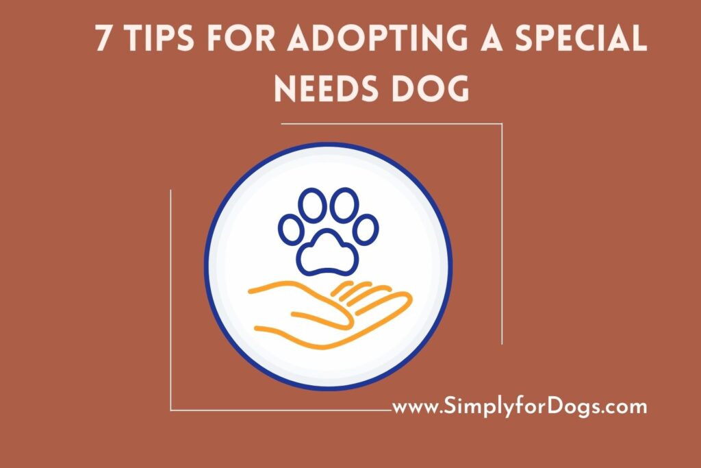 7 Tips for Adopting a Special Needs Dog (AZ Information) Simply For Dogs