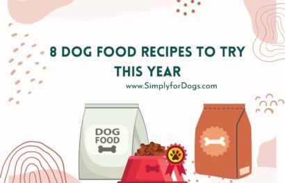 8 Dog Food Recipes to Try This Year