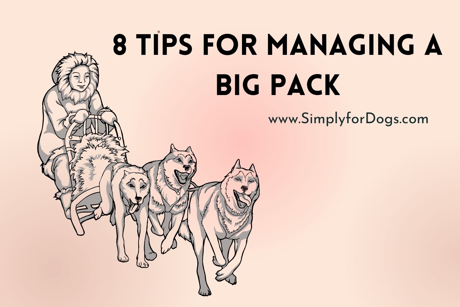 8 Tips for Managing a Big Pack