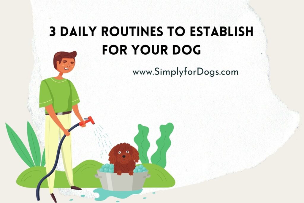 Dog Routines (Perfect for Every Breeds) Simply For Dogs
