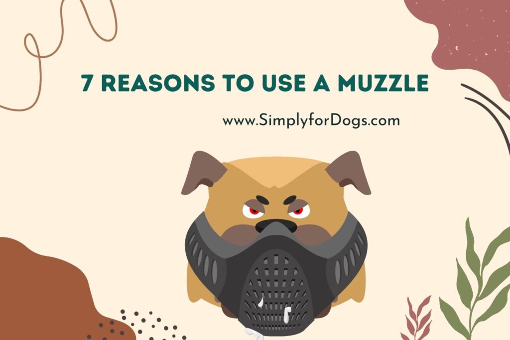 7 Reasons to Use a Muzzle and 2 Reasons Not To! (Is It Safe?) Simply For Dogs