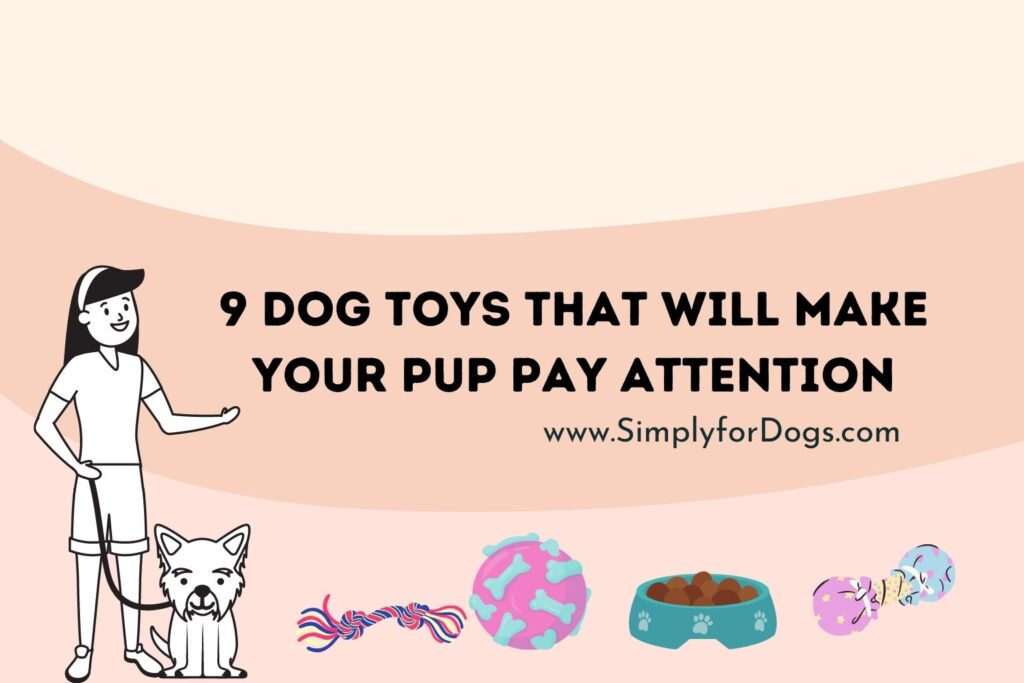 9 Dog Toys That Will Make Your Pup Pay Attention (Cheap and Safe