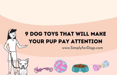 9 Dog Toys That Will Make Your Pup Pay Attention