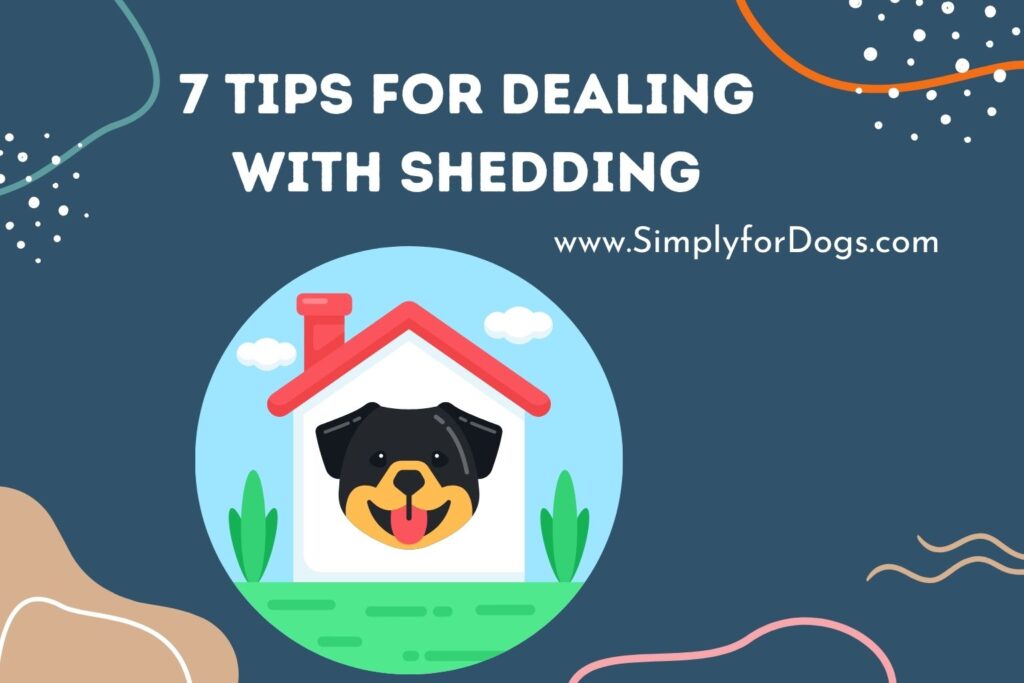 7 Tips for Dealing with Shedding (Dog Shedding Tips) Simply For Dogs