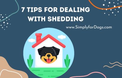 7 Tips for Dealing with Shedding