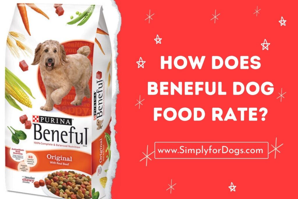 How Does Beneful Dog Food Rate? (Know The System) Simply For Dogs