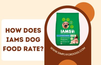 How Does IAMS Dog Food Rate