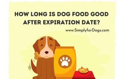 How Long is Dog Food Good After Expiration Date_