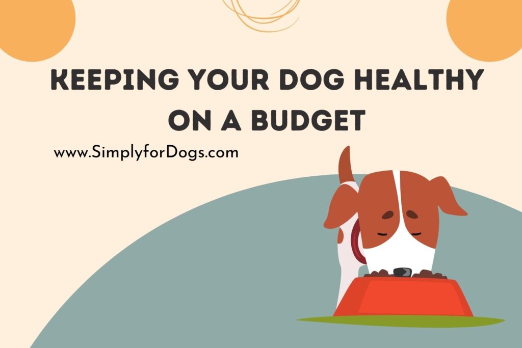 Keeping Your Dog Healthy on a Budget (Better Care) - Simply For Dogs