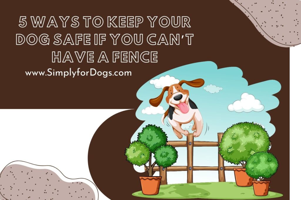 5 Ways to Keep Your Dog Safe If You Can’t Have a Fence (Easy Tips