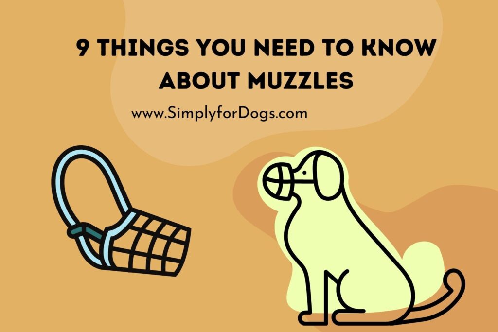 9 Things You Need to Know About Muzzles (Pros & Cons) Simply For Dogs