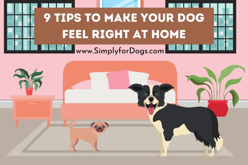 9-tips-to-make-your-dog-feel-right-at-home-easy-steps-simply-for-dogs