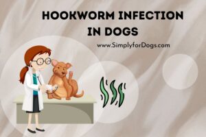 Quick Infection. Dogs Quick Hookworm Infection in Dogs (Quick Prevent) - Simply For Dogs