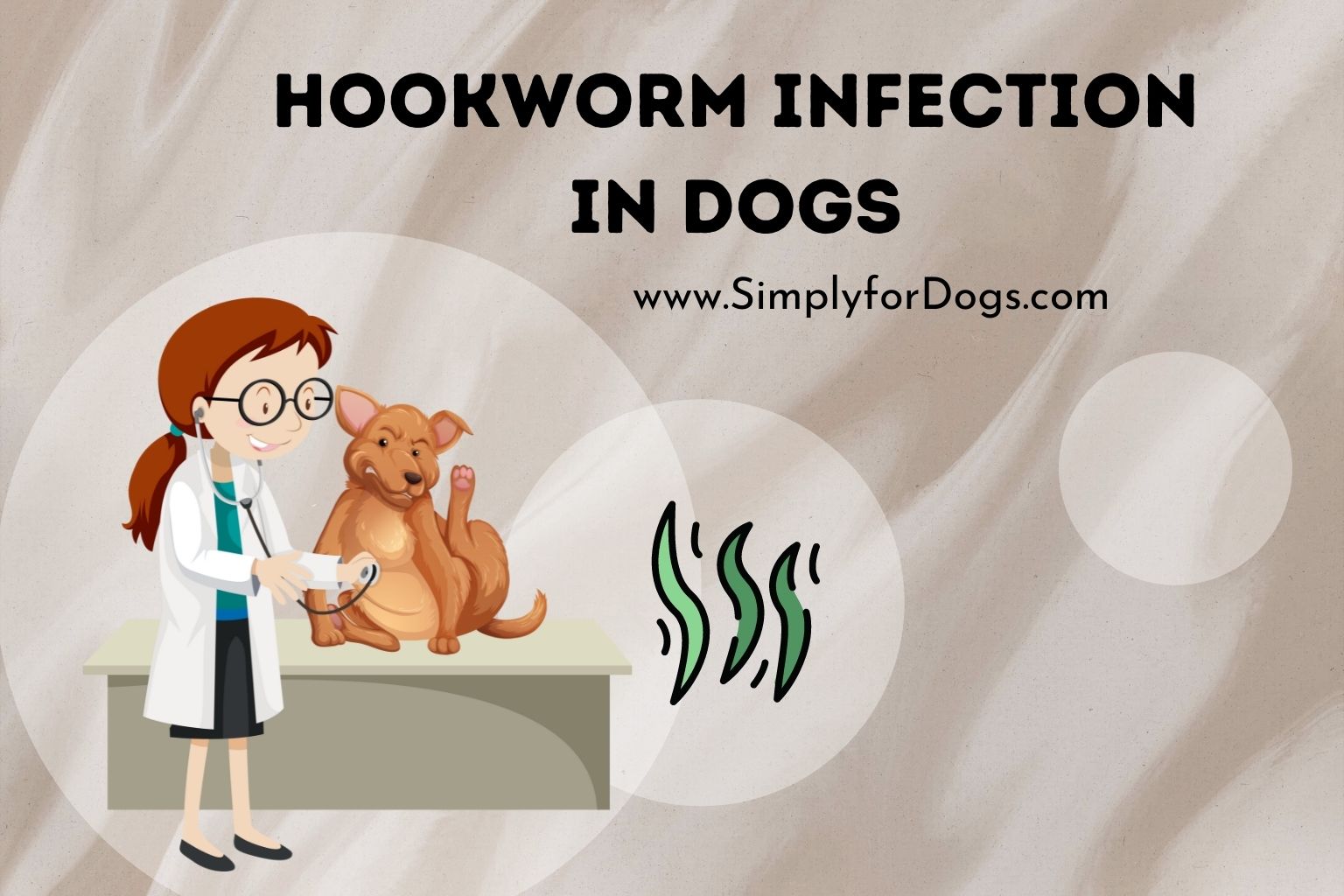 Hookworm Infection in Dogs (Quick Prevent) - Simply For Dogs